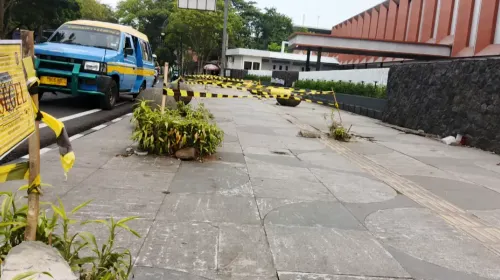 Lokasi pohon-pohon yang diduga ditebang tanpa izin pemerintah. (Sumber: Ayobandung.id | Foto: Gilang Fathu Romadhan)