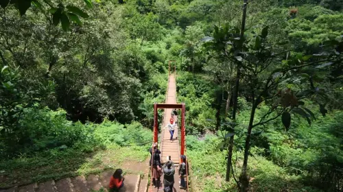 Sejumlah pengunjung berfoto di Jembatan Gantung Curug Koleang, Kawasan Taman Hutan Raya (Tahura) Djuanda, Bandung, Sabtu (9/2/2019). (Sumber: Ayobandung.id | Foto: Irfan Al-Faritsi)