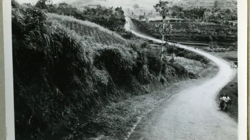 Tanjakan Cibogo tahun 1955. Masih kebun dan sawah, dan sekarang kebun semakin terdesak, sawah telah hilang. (Sumber: wereldculturn.nl)