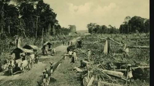 Pembukaan lahan di Sumatra Utara pada 1910 untuk dijadikan perkebunan. (Sumber: KITLV)