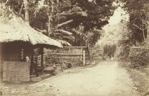 Jalan di antara Cisondari dan Kopo zaman baheula. (Sumber: KITLV)