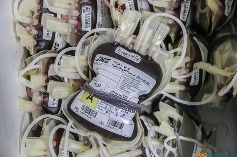 Kantong-kantong darah dari pendonor. (Sumber: ayobandung.id | Foto: Andres Fatubun)